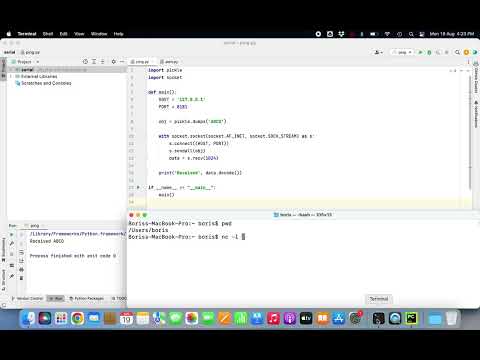 Hacking Demo Python Insecure Deserialization