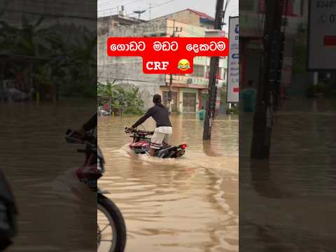 Crf කියන්නෙ නිකන් නෙමෙයි 😱 #bikelover #automobile #slbikes