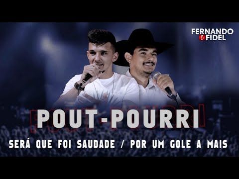 Será Que Foi Saudade  Por Um Gole A Mais (pot-pourri) - Fernando e Fidel