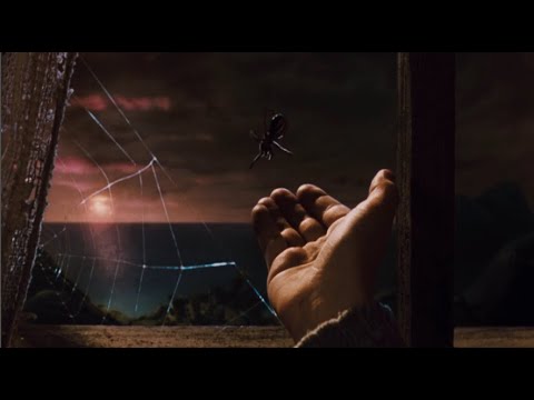 My Name Is James lyrics by Paul Terry