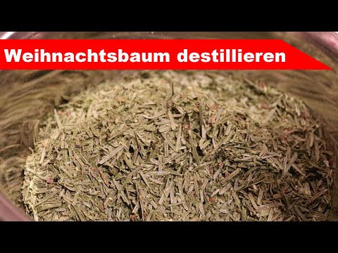 🎄 Weihnachtsbaum destillieren 🎄 - ätherisches Öl selber machen - diSTILLed