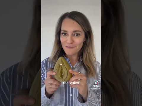 Sex Ed You Wish You Got: Vulva VS Vagina