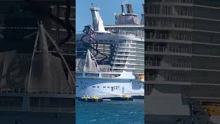 The New Allure Of The Seas with Abyss!.. #cruiseship #cruise #travel #yt #shorts