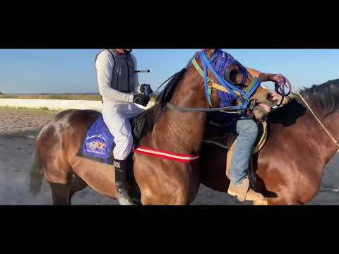 The Mendoza Family: The Era of the Corrido - Corrido of Valentino Cuadra Lucero 2020