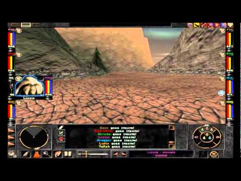 Wizardry 8 - My Whole Party is inflicted with insanity