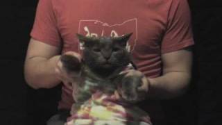 Jump Little Children - Mexico