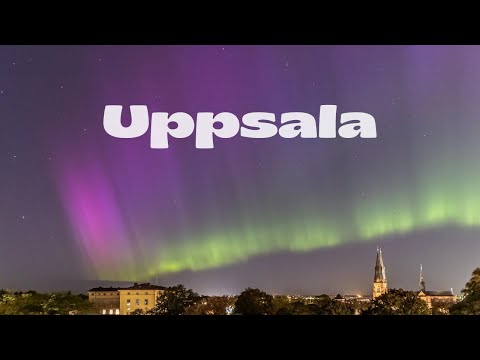 What It’s Like to Study Abroad in Uppsala (Sweden) 🇸🇪