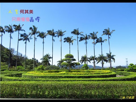 108/02/07 (três primeiros anos do ano) Miaoli. Cidade de Tongxiao Cidade de Holong (Baishatun Mazu‧Shanbian Mazu‧Jornada de Mazu em escultura em pedra)