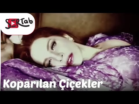 Koparılan Çiçekler - Sertab Erener