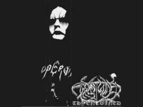 Thy Entwined-The Heart Of Nothing