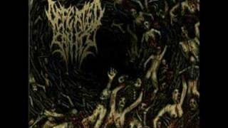 Defeated Sanity - Stoned Then Defiled