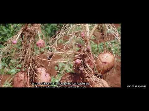 2018 06 27 PM Public Teaching in Romanian - Cursuri publice în română