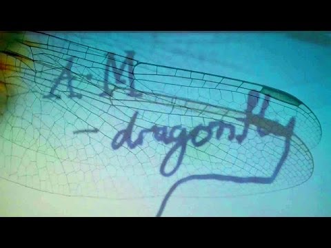 A.M - Dragonfly