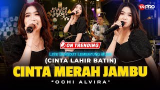 Download lagu CINTA MERAH JAMBU - Ochi Alvira (Live Dangdut Lembayung Music) | Cintaku hanya kamu mp3