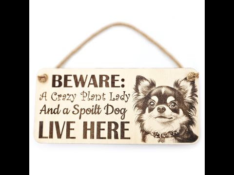 Crazy Dog Chihuahua Plaque