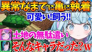 異常なまでにカメに執着するすうちゃん、千速とヴィヴィからカメの存在意義を問われてしまうｗ【ホロライブ/切り抜き/VTuber/ 水宮枢 / 輪堂千速 / 綺々羅々ヴィヴィ / マイクラ 】