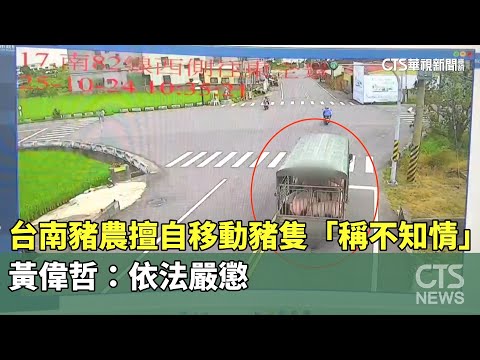 台南豬農擅自移動豬隻「稱不知情」　黃偉哲：依法嚴懲