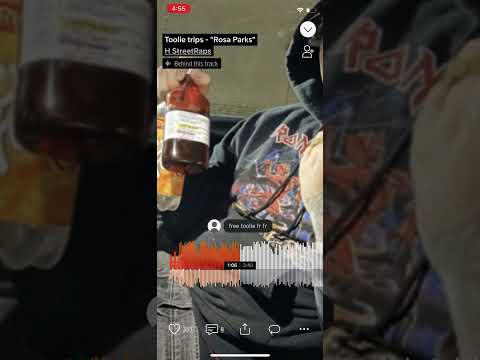 toolie trips - rosa parks