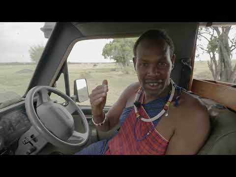 Big Cat Tales - Survivors of the Savanna