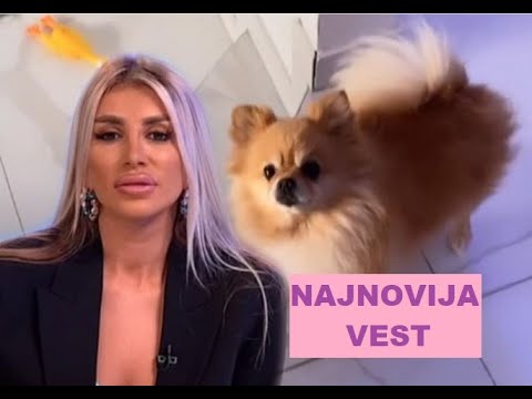 DA LI JE OVO MOGUĆE??!  NEVEROVATNO - PRVI SUSRET Dalile i Tedija #zadruga #zadrugainfo