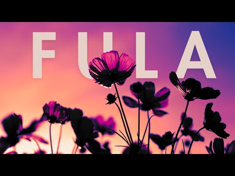 Lov X - Fula 🌼 (Official Audio)