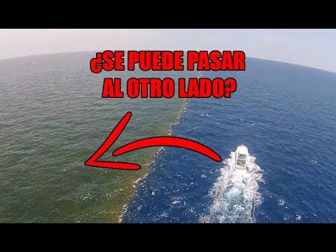 La Verdad Sobre los Dos Oceanos que Nunca se Mezclan en Alaska