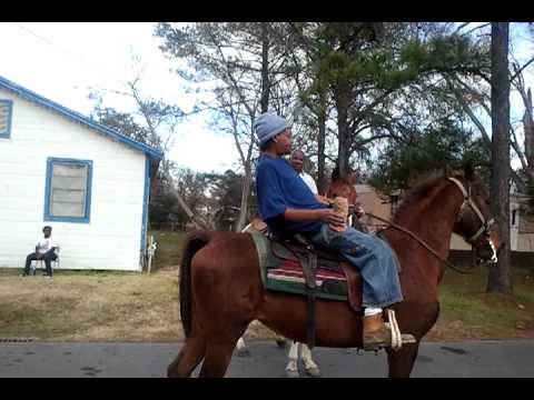 Drunk Riding a horse Newellton La