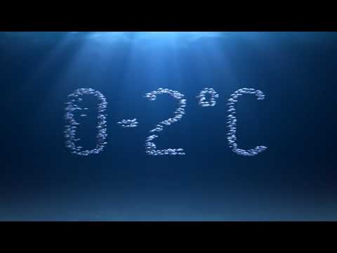 HGK projekt: Riba Hrvatske - Jedi što vrijedi