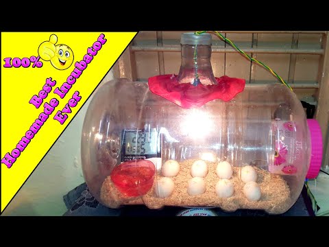 DIY Homemade Incubator Simple And Easy || Hatching Chicken Eggs