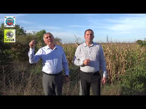 PLEHANSKI ODJECI  -  Evo me na Plehanu (Official Video Music )