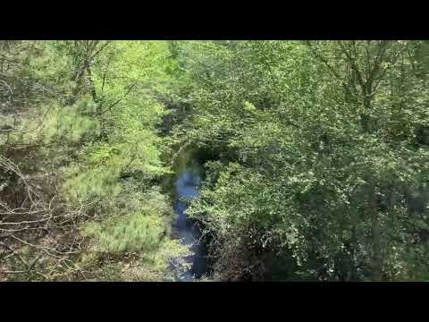 April 20, 2019 Part 1