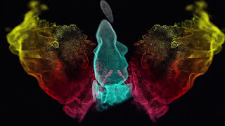 The New Division - Senseless