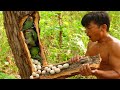 A Man Tear Wood To Find Parrots Eggs_ A lot of Birds in nest