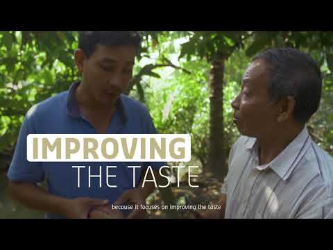 100 Years - Cacao-Trace