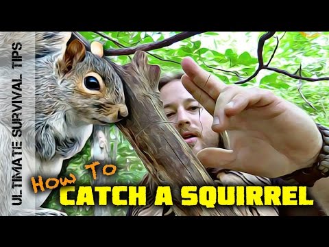 SURVIVAL MEAT! Squirrel Pole Snare Set-Up - SURVIVAL TRAPS / SNARES 101
