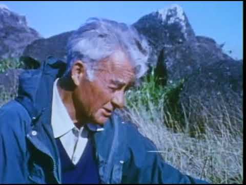 The Jacques Cousteau Odyssey 5 of 6 Blind Prophets of Easter Island & Clipperton The Island