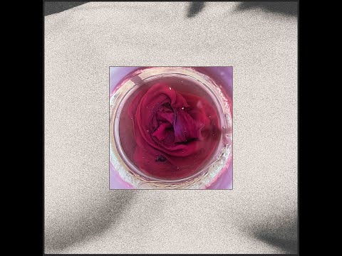 Leon Vynehall  - Undo (Your Body)