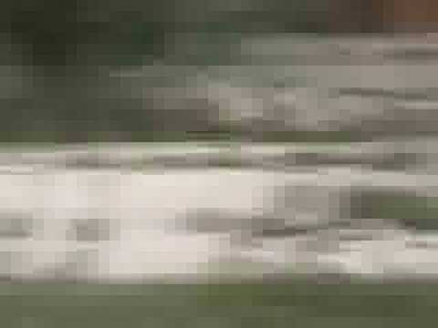 AVELLINO-J.STABIA 2006 2007 IL TIFO