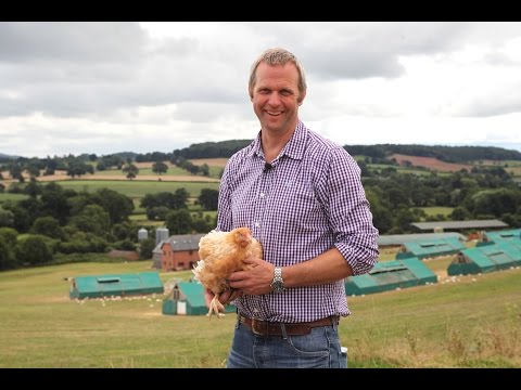 Wood Green Farm