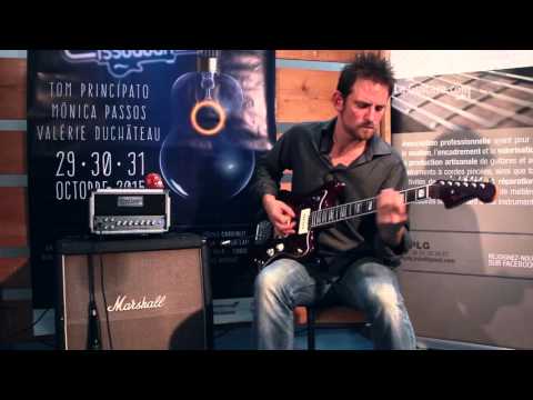 Salon des luthiers Issoudun 2015 - Fredamp silver 15h par Brice Delage