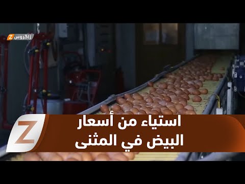 فيديو | #المثنى.. ارتفاع أسعار البيض يثير استياء المواطنين رغم وفرة الإنتاج