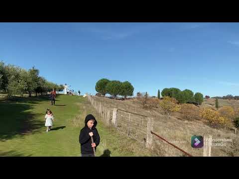 Lavandula Swiss Italian farm tour