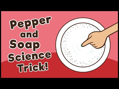 The Pepper and Soap Experiment | Science Experiments | ExpertNish