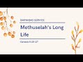 01 22 2023 Barnabas Methuselah S Long Life