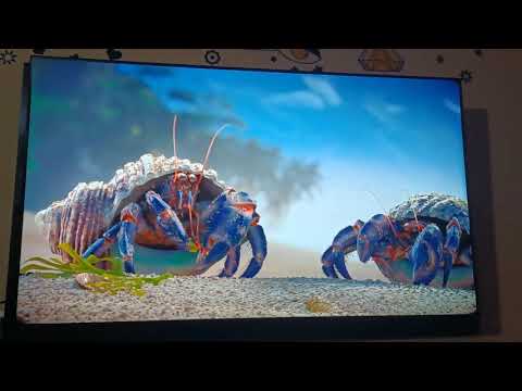 Just got my awesome 4k 120hz  lg cx oled tv🤯🤯🤯.....