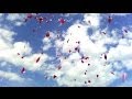 Turn & Aguada feat. Eskova - Straight From My ...