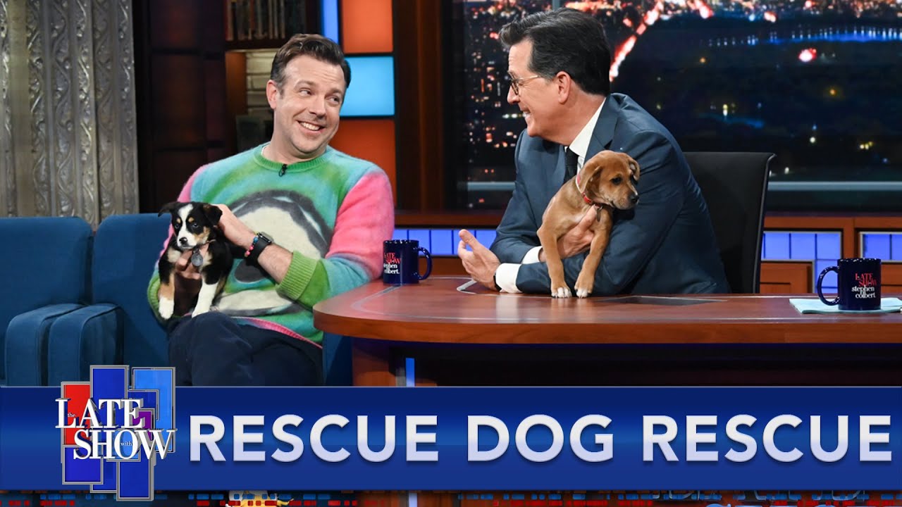 Rescue Dog Rescue With Jason Sudeikis Standup Comedy