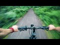 Bike Ride Forest