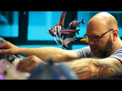 FISCHE für das 1000 Liter  SÜDAMERIKA AQUARIUM