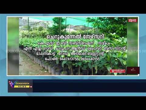 IDUKKIVISION NEWS 7 PM | LIVE | 16 JAN 2025